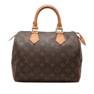 Louis Vuitton Speedy 25