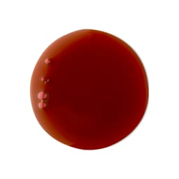 Lush Cherry Pop Shower Gel