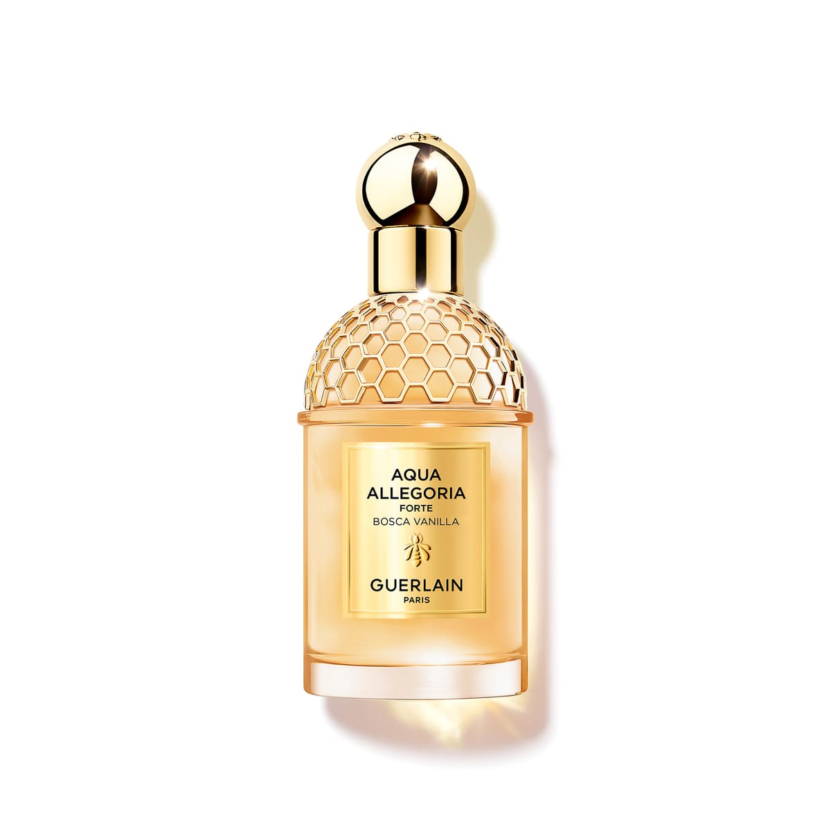 Guerlain Aqua Allegoria Forte ⋅ Bosca Vanilla Forte
