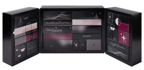We-Vibe Feel the Magic Shiver Advent Calendar 2022