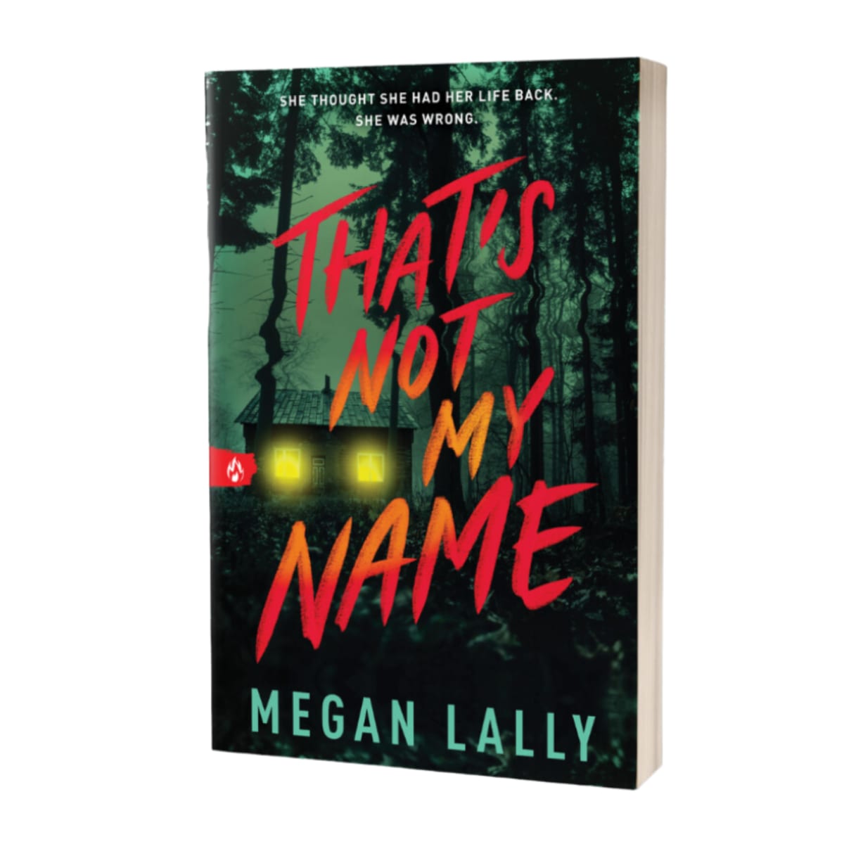 Megan Lally That's Not My Name