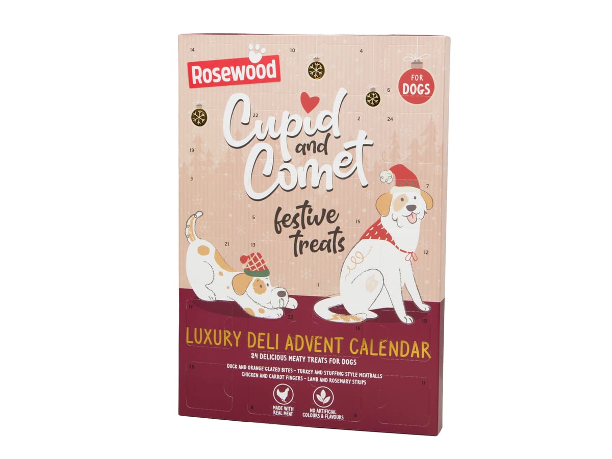 Cupid & Comet Luxury Hundkalender