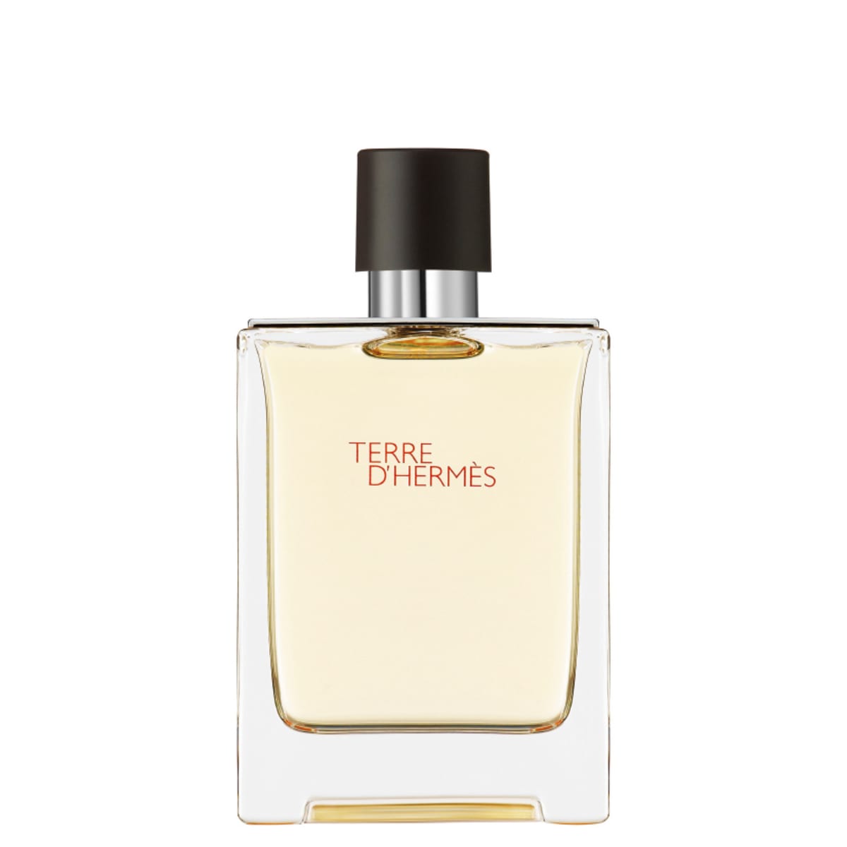 Hermès Terre d'Hermès Eau de Toilette